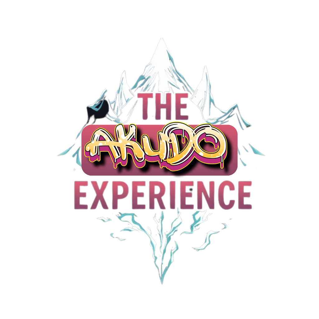 The AKUDO Experience